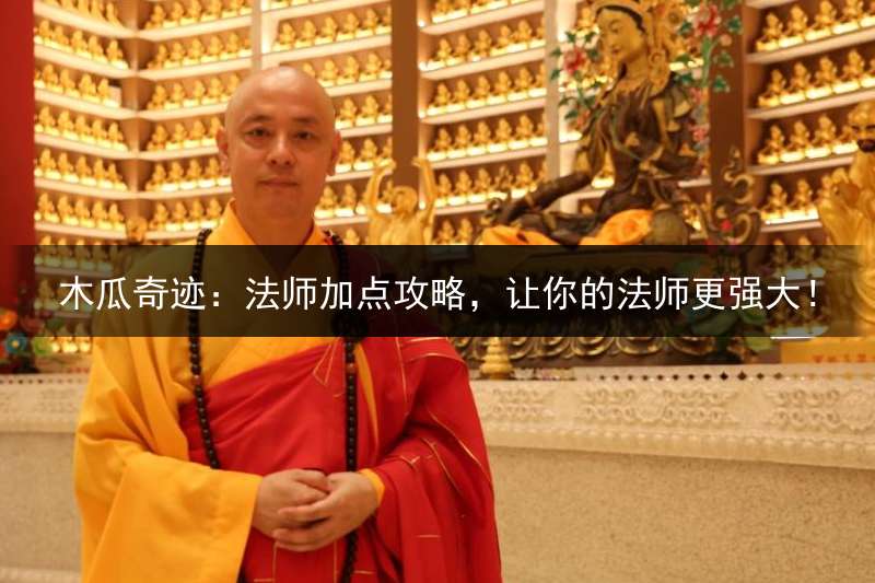 木瓜奇迹：法师加点攻略，让你的法师更强大！