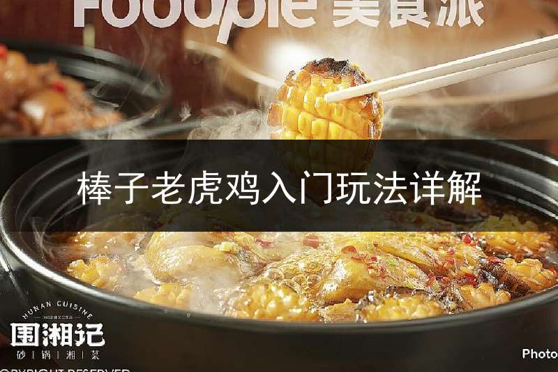 棒子老虎鸡入门玩法详解